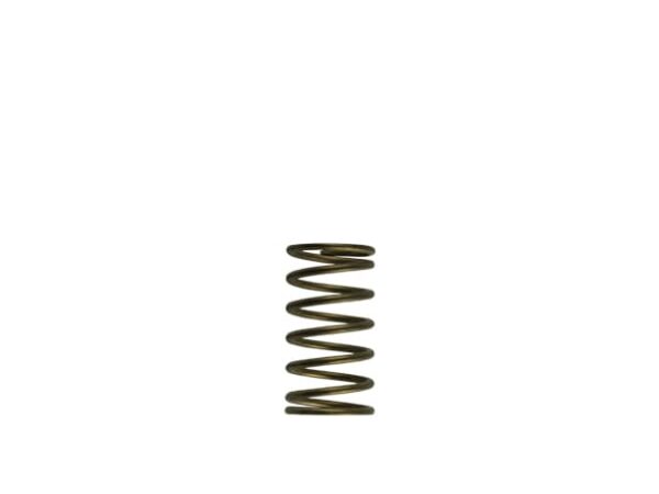 Turbosmart GenV WG60 3psi Inner Spring