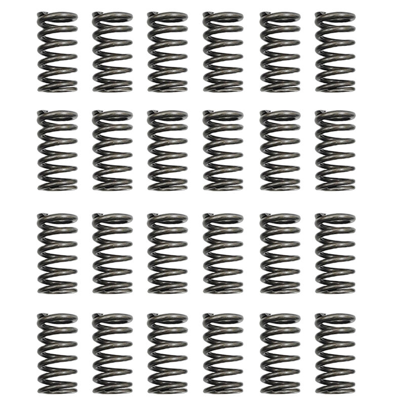 24 Pcs Performance Valve Springs - Ford Falcon BA BF FG FGX