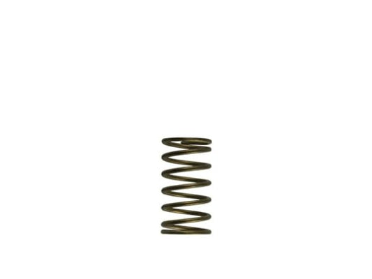 Turbosmart GenV WG60 3psi Inner Spring