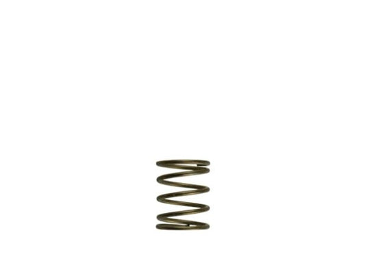 Turbosmart GenV WG45/50 3psi Orange Inner Spring