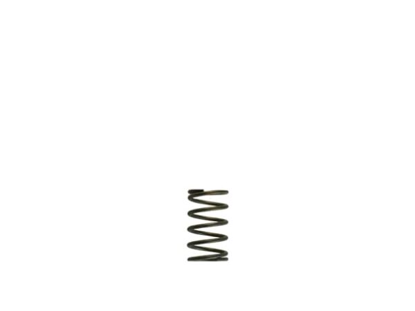 Turbosmart GenV WG38/40 5psi Grey Inner Spring