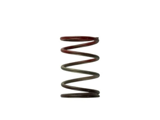 Turbosmart Gen4 / IWG WG38/40/45/50L 11PSI MIDDLE SPRING - BROWN/RED