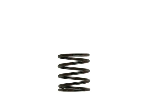 Turbosmart Gen4 / IWG WG38/40/45/50L 3PSI INNER SPRING - BROWN/BLACK