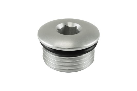Turbosmart Fitting -12 AN ORB Blank -