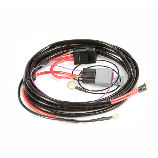 Anti-Surge Twin Pump Fuel System Wiring Harness Ford Falcon BA BF