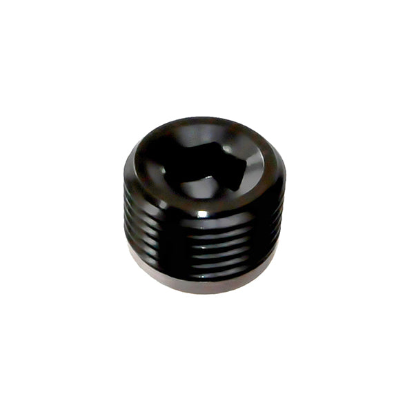 NPT Plug