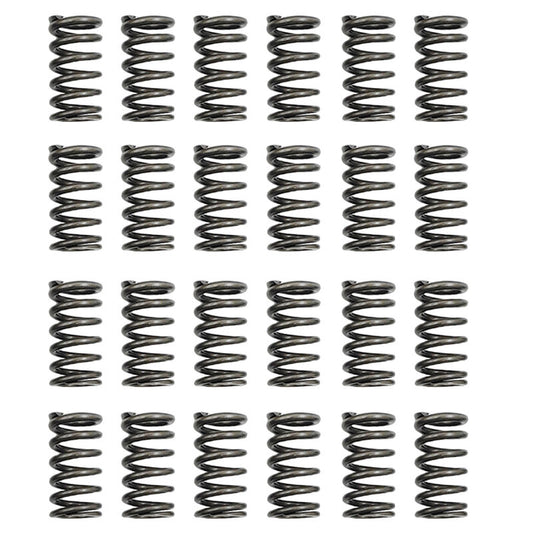 24 Pcs Performance Valve Springs - Ford Falcon BA BF FG FGX